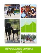 Lataa julkaisu tästä!